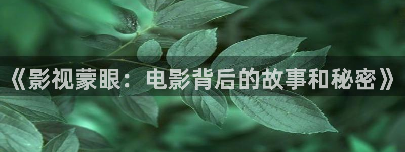 狂飙电视剧在线观看免费完整版星辰影院